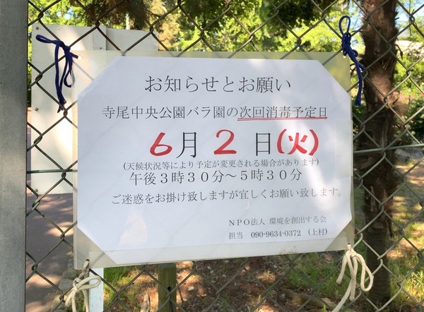 cc2e0bf244efa17233097102ac53f0534_26849489_200529_0030