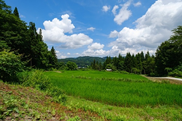 THE TIME, 出張！安住がいく 新潟