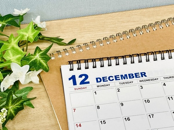 2025年冬の旅行動向調査