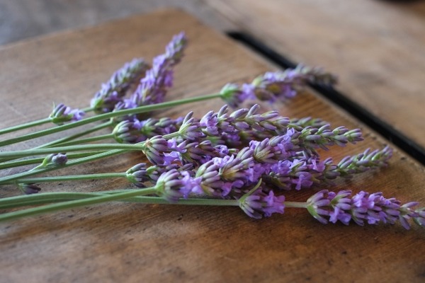 Bonjour!Provence.(ボンジュール!プロヴァンス)