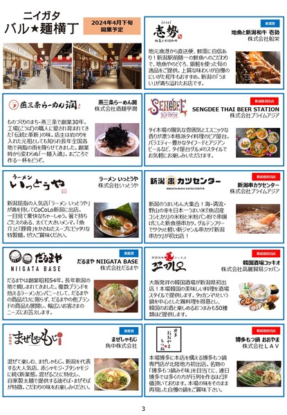 nsp1240111105934_page-0003