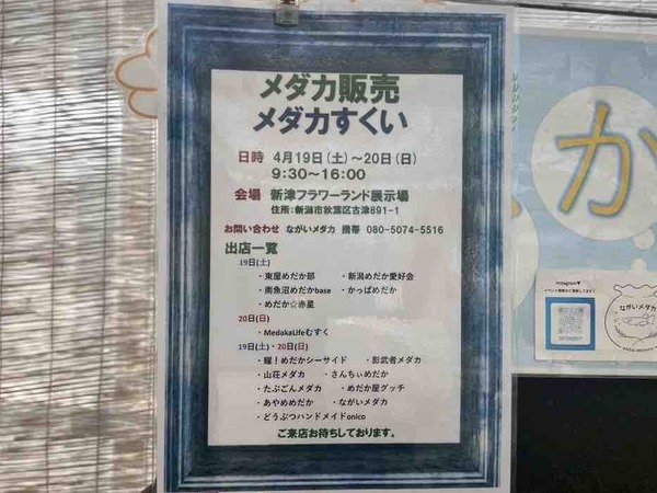 メダカ販売会&メダカすくい