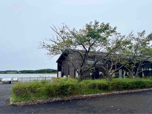 佐潟 de 朝市
