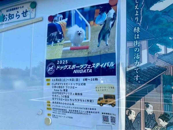 2025 ドッグスポーツフェスティバルNIIGATA