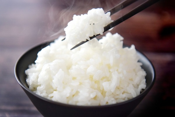 水稲新品種 新潟135号の名称候補の募集