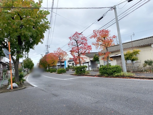 Point Blur_20201105_153615