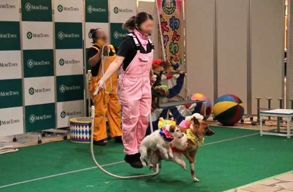 わんわん大サーカス2