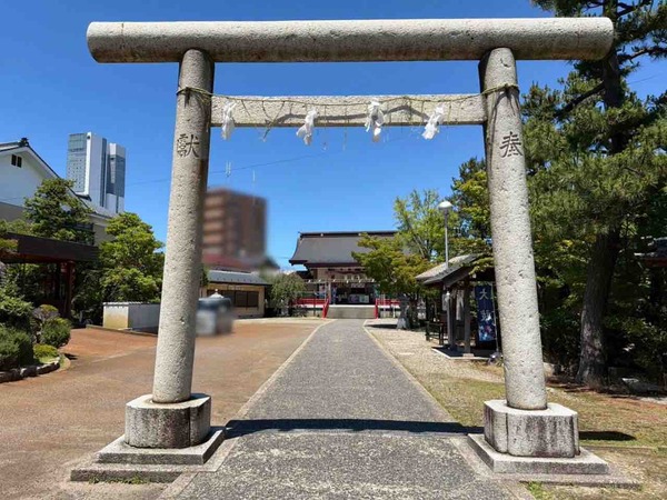 夏越の大祓