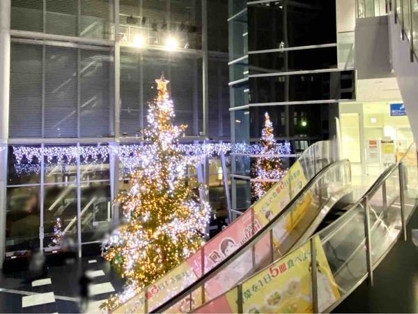 NEXT21 クリスマスツリー展示