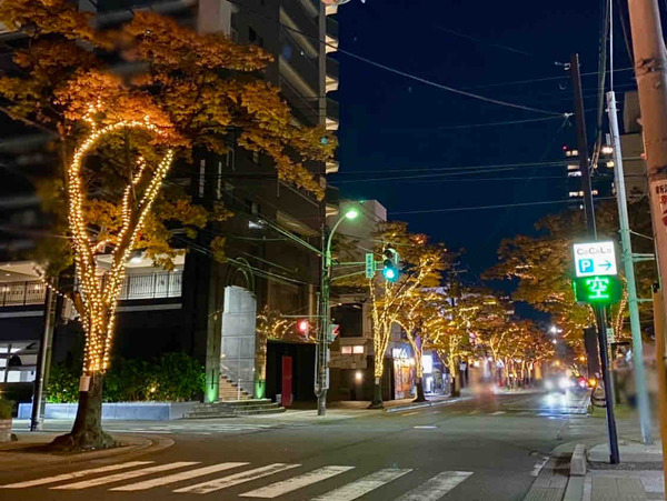 光のページェント
