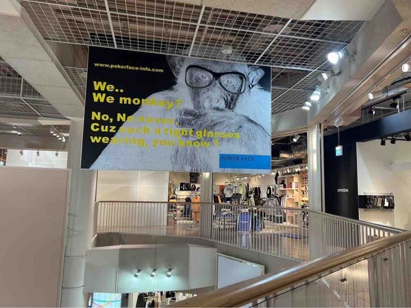 Lafayette（ラファイエット）