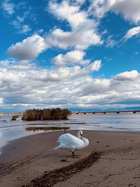 東区魅力発信フォトコンテスト