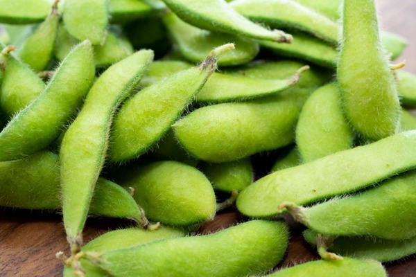 規格外黒埼茶豆の詰め放題
