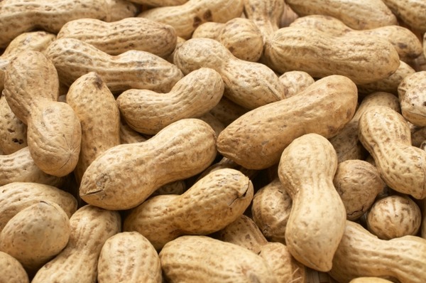 落花生詰め放題