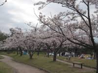 亀田公園