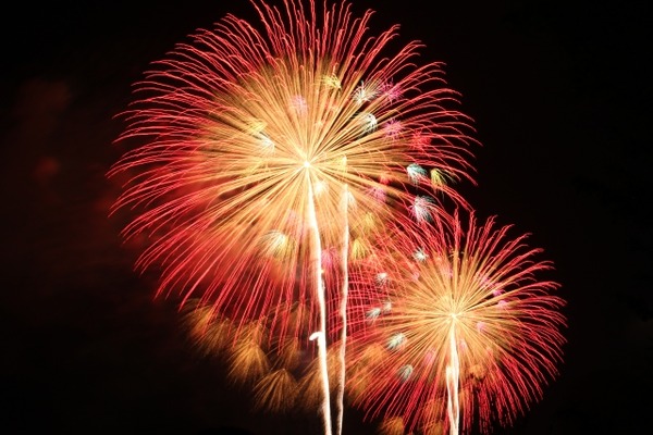 阿賀野川 あきはなびまつり2025