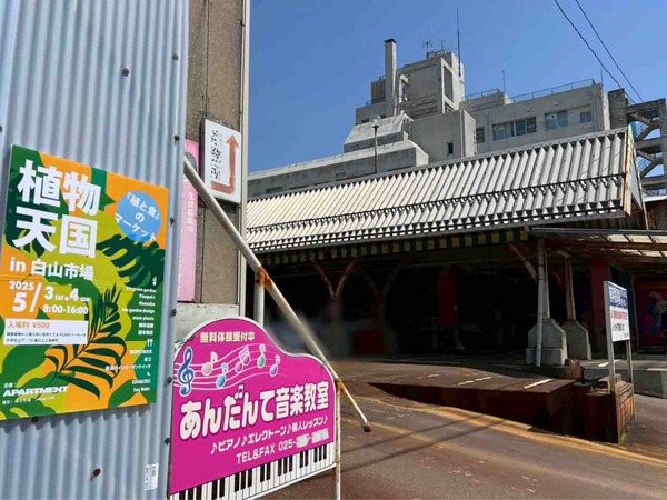 植物天国 in 白山市場