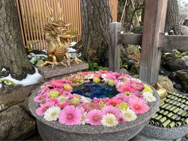 新潟市 イベント 3月