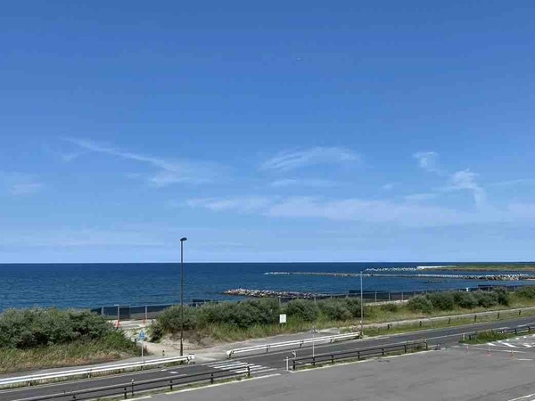 にいがた氷菓（アイス）の陣