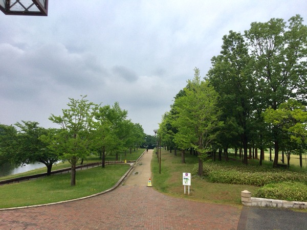 2017-05-25-09-36-36