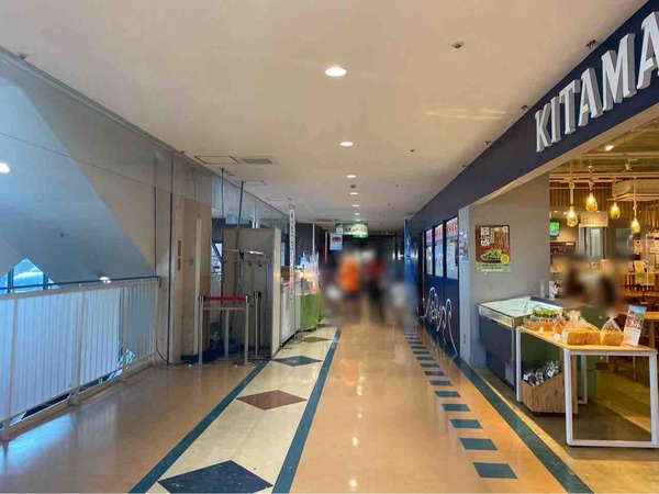 DEKKY401（デッキィ） 8月後半