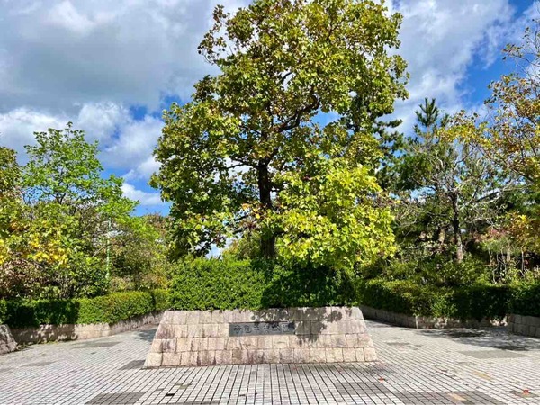 紅葉スポット2024 新潟市 寺尾中央公園