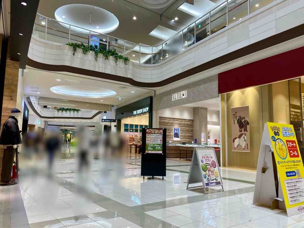 THE BODY SHOP（ザボディショップ）