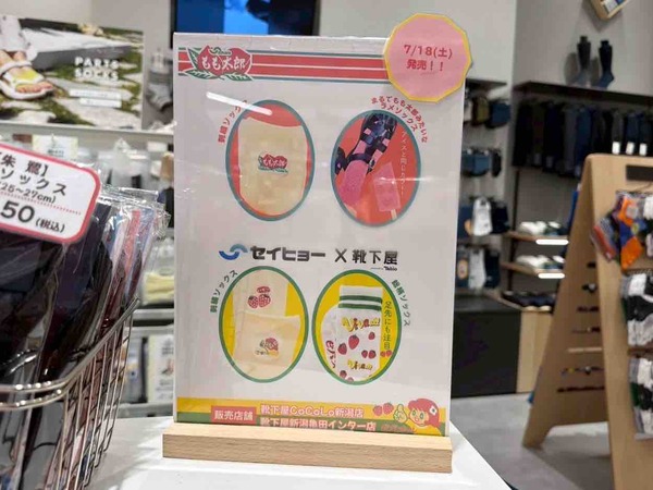 セイヒョー 靴下屋