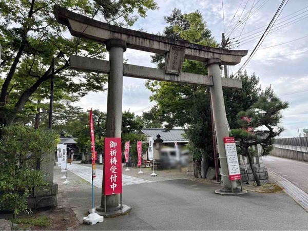 にいつ夏まつり