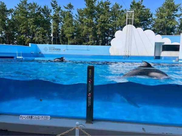 マリンピア日本海
