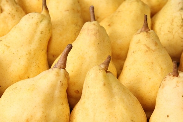 江南区 お店元気プラスキャンペーン