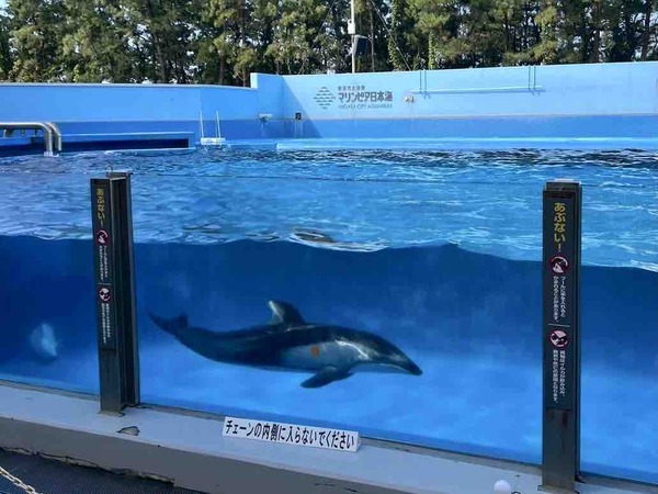 マリンピア日本海