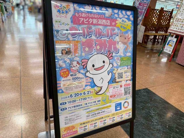 みずみずランド ウーパールーパーまみれ