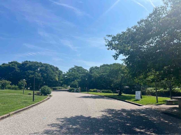 新潟県スポーツ公園 小川(流れ)
