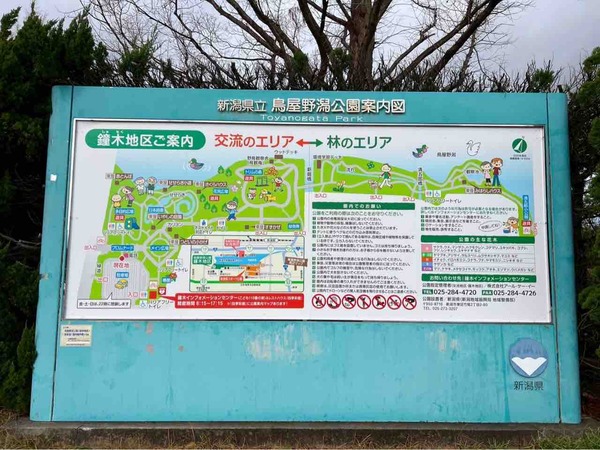 鳥屋野潟公園 Xmas market