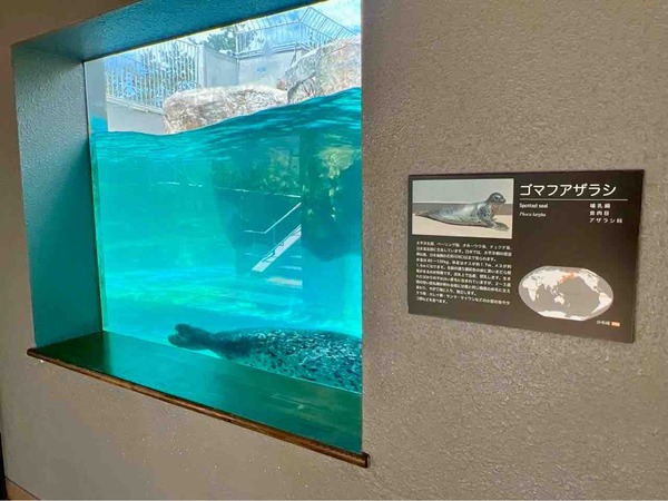 マリンピア日本海