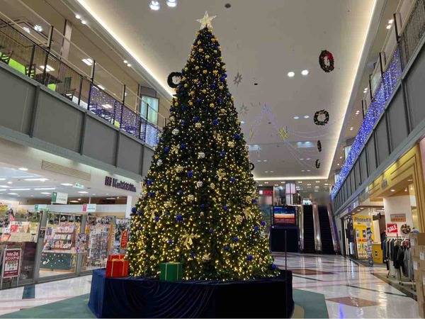 クリスマスツリーライトアップイベント DEKKY401