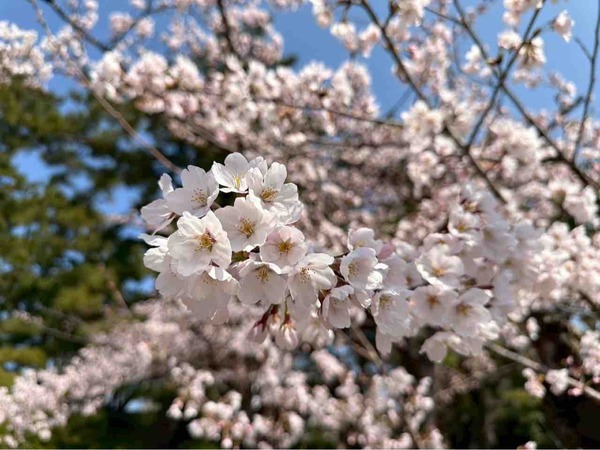 白山神社・りゅーとぴあ周辺