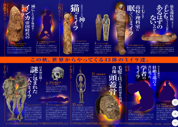 ミイラ展 ②