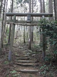 くぐる④