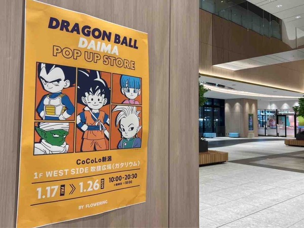 ドラゴンボールDAIMA POP UP　一番くじ POP-UP STORE