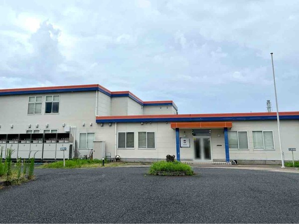 アルビレックス新潟