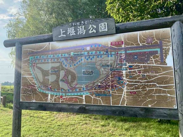 わらアートまつり