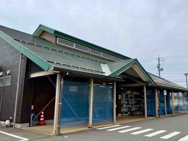 さつまいも詰め放題