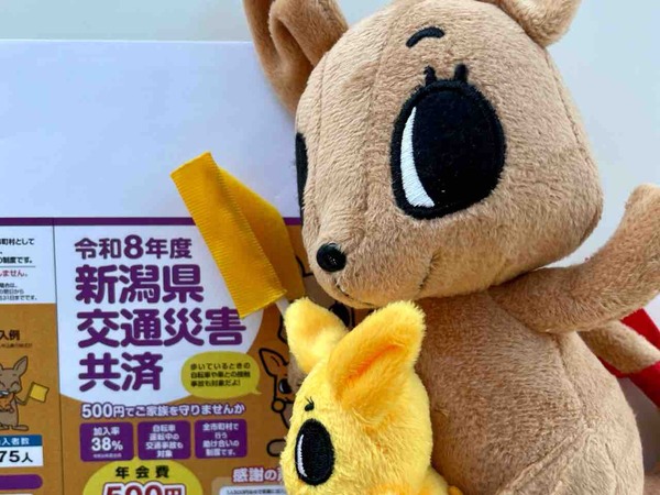 新潟県交通災害共済