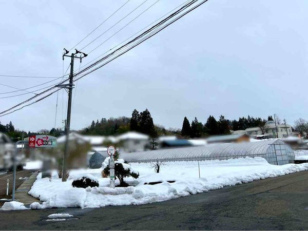 チョコレート風呂 我が家の愛猫自慢風呂