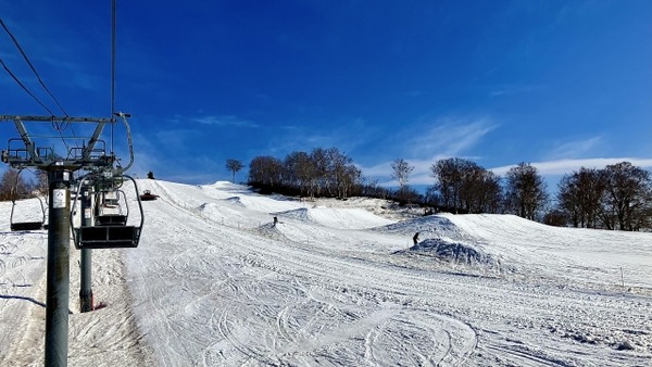 47都道府県別 生活意識調査2024 新潟