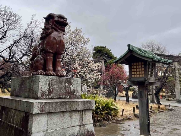 新潟市 イベント 3月
