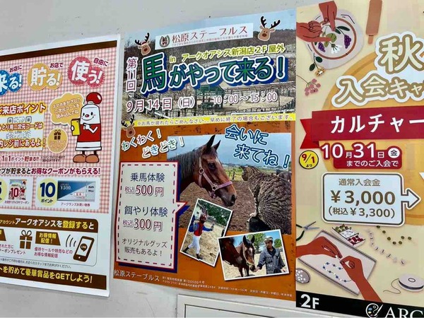 第11回 馬がやって来る！