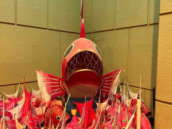 巻文化会館　鯛の盆